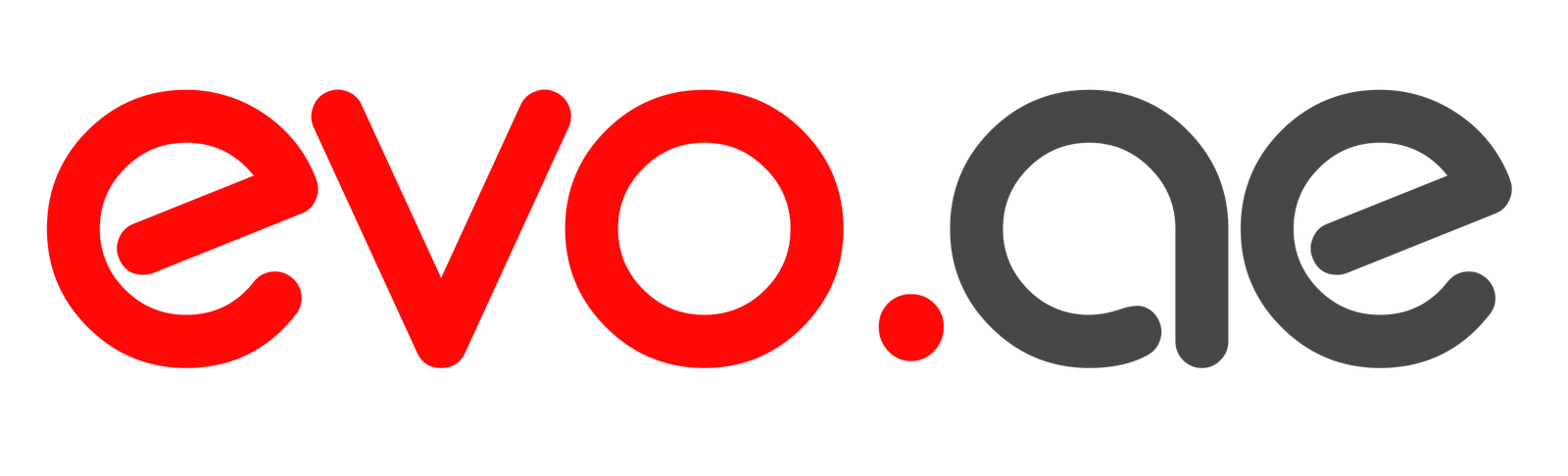 EVO FZ LLC