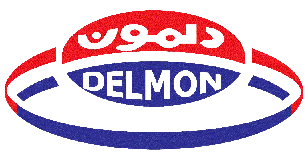 Delmon Group
