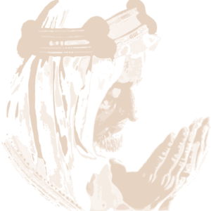 King Faisal Foundation