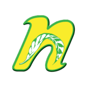 AHMAD NAJEEB HASEEB AHMAD & PARTNERS CO.