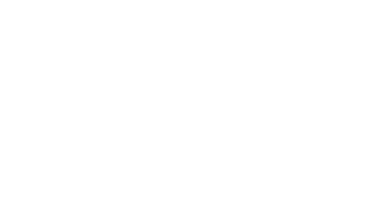 JOHNSONS AIR - ALG TRANSPORT INC