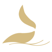 JORDANIAN DARAT HOLDING CO. LTD.