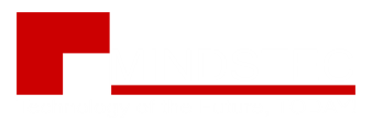 MINDSTEC DISTRIBUTION FZCO