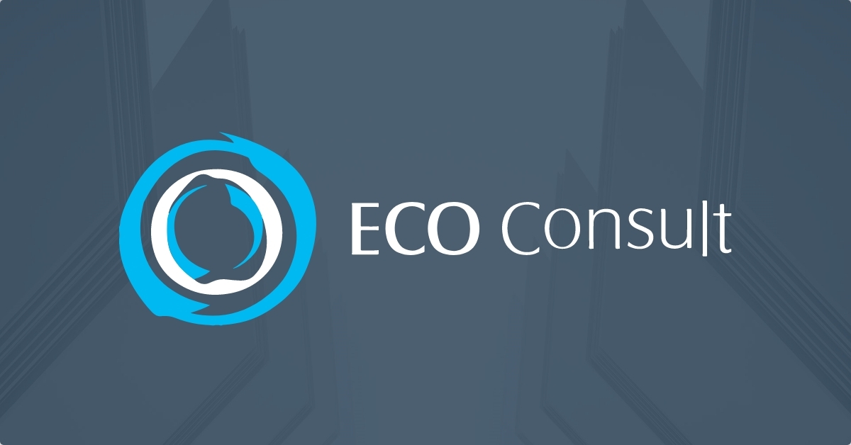 NEW DIRECTIONS CONSULTING CO. LTD.