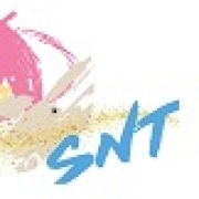 SNT TEKSTIL SAN. TIC. LTD. STI