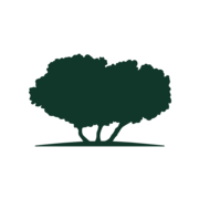 THE QATAR FOUNDATION FOR EDUCATION, SCIENCE & COMMUNITY DEVELOPMENT