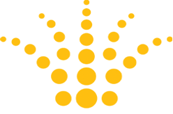 مصنع ناردين للانارة